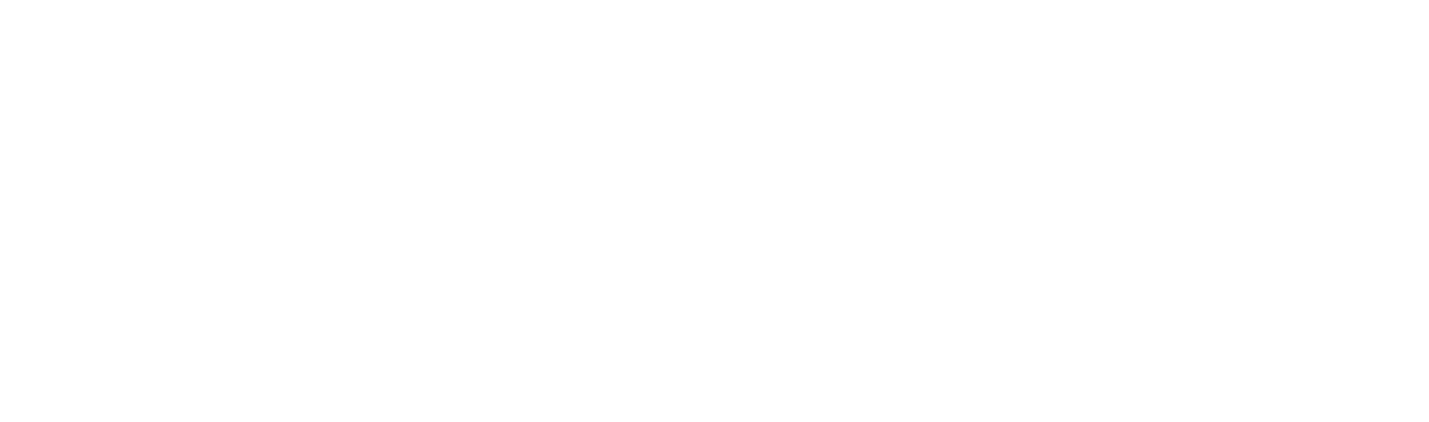MAGNAFLUX: Together for a Safer World